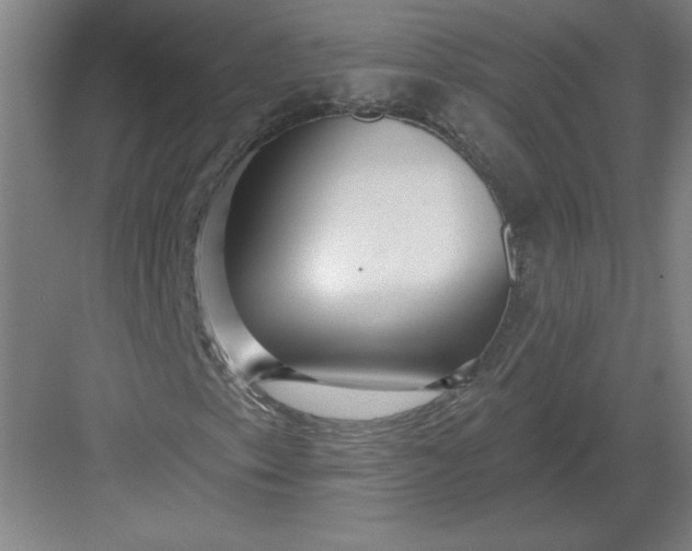 X0000082981153200702152350