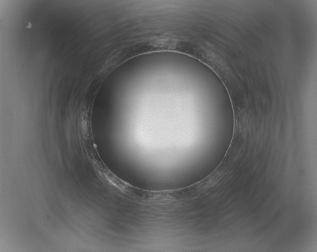 X0000082981154200702152350