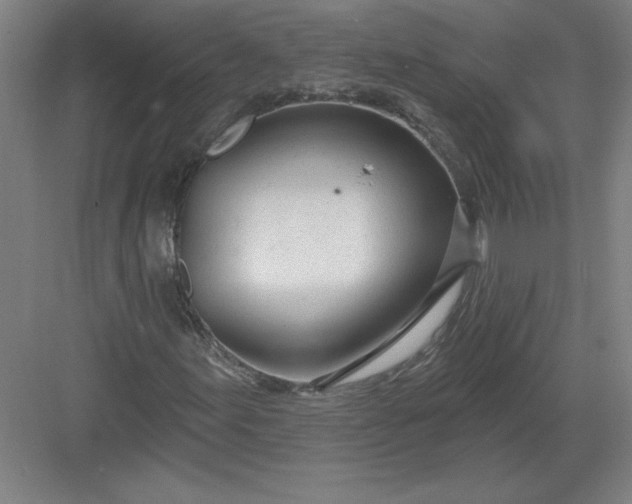 X0000082981155200702152350