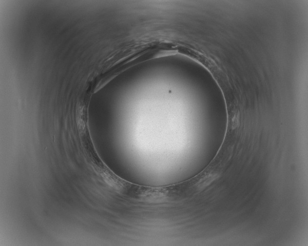 X0000082981156200702152350