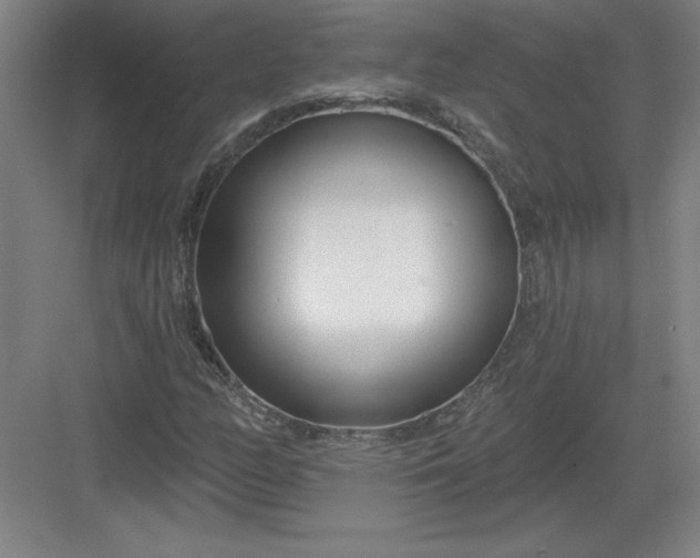 X0000082981158200702152350