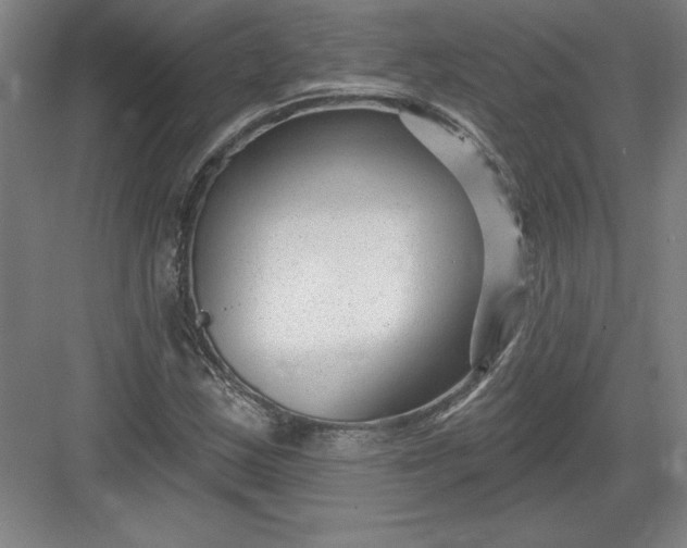X0000082981163200702152350