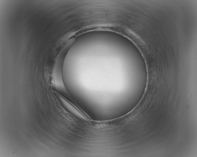 X0000082981169200702152350
