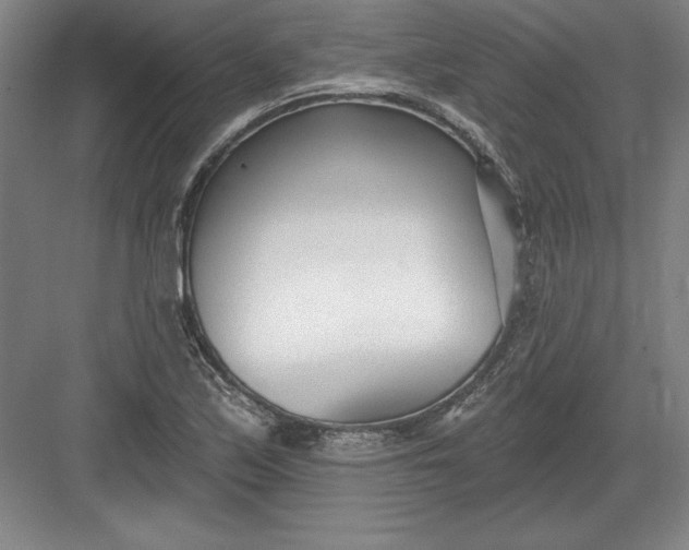 X0000082981171200702152350