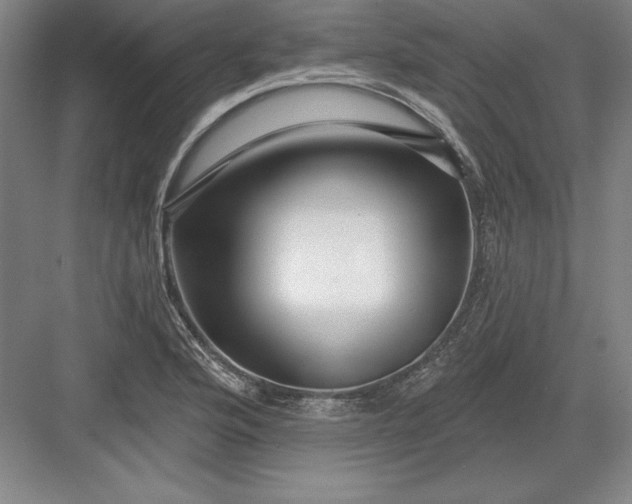 X0000082981176200702152350
