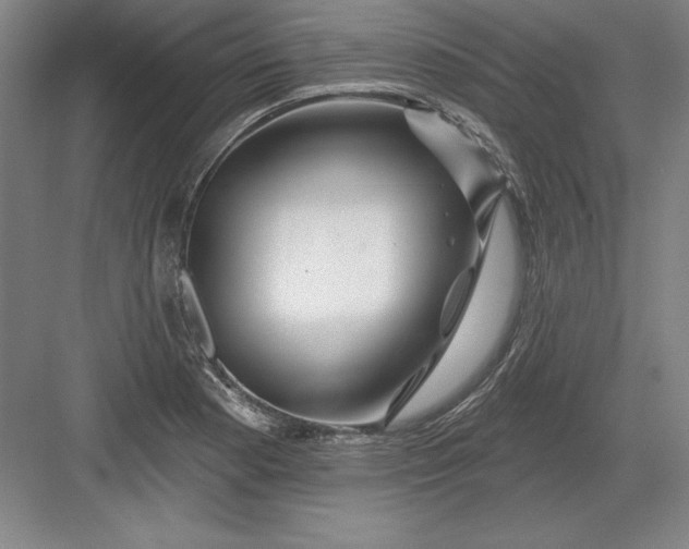 X0000082981177200702152350
