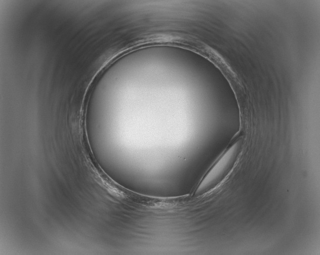 X0000082981178200702152350