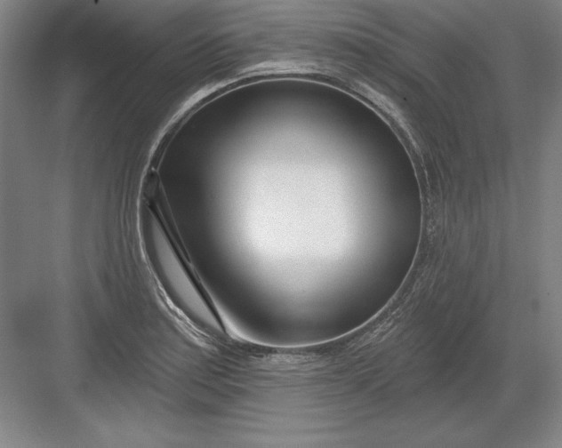 X0000082981179200702152350