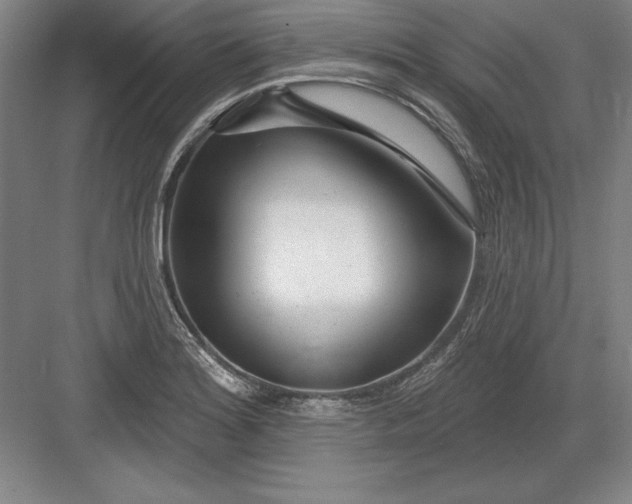 X0000082981180200702152350