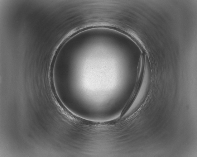 X0000082981181200702152350