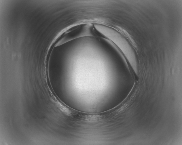 X0000082981184200702152350
