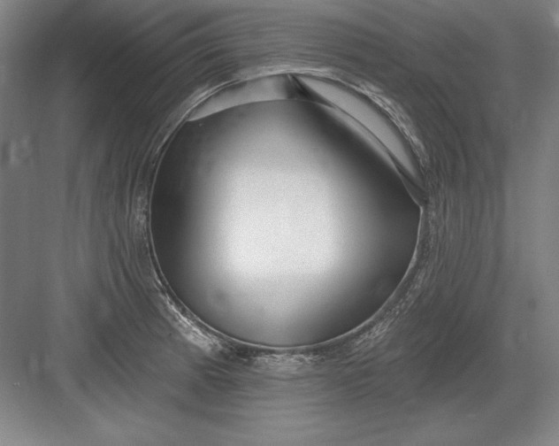 X0000082981185200702152350