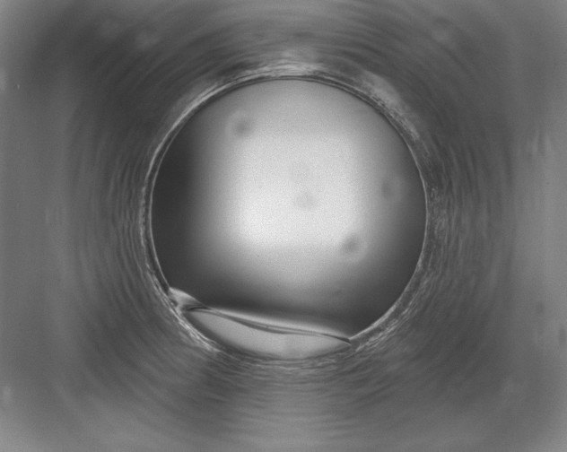 X0000082981186200702152349