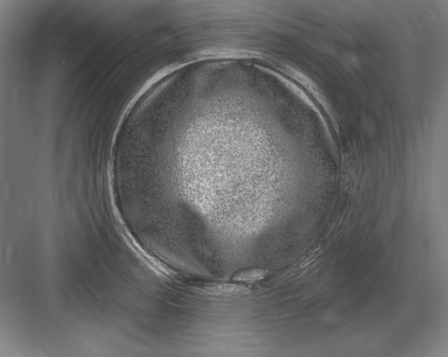 X0000082981187200702152349