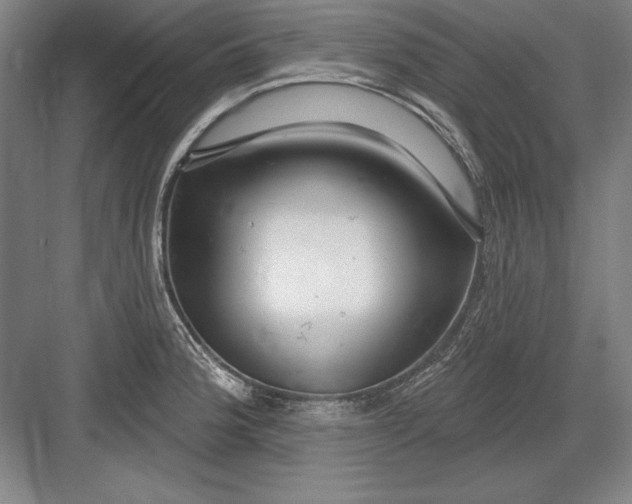 X0000082981188200702152349