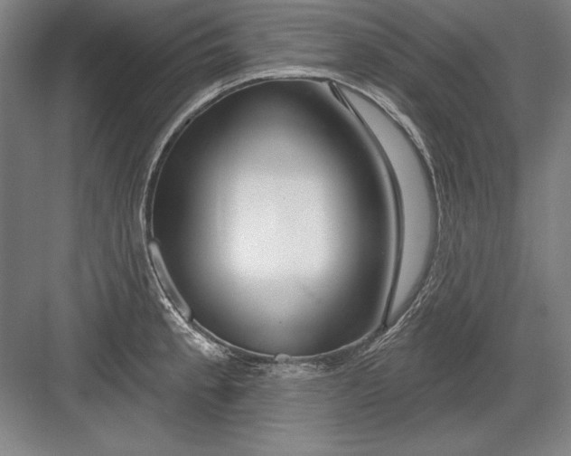 X0000082981189200702152349