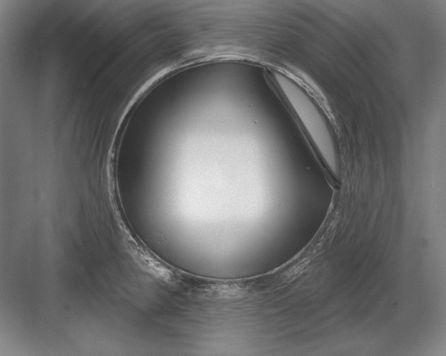 X0000082981190200702152349
