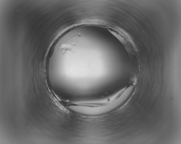 X0000082981192200702152349