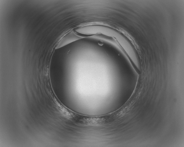 X0000082981193200702152349