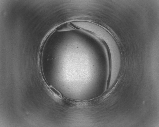 X0000082981196200702152349