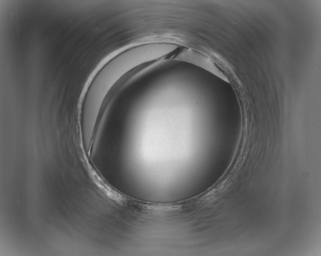 X0000082981200200702152349