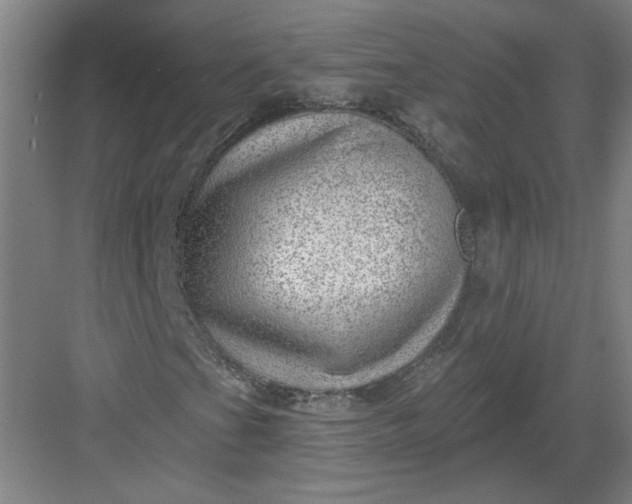 X0000082981201200702152348