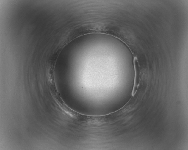 X0000082981202200702152348