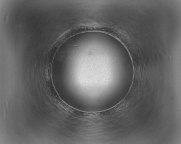 X0000082981205200702152349