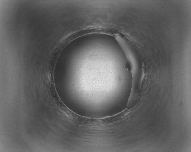 X0000082981206200702152349