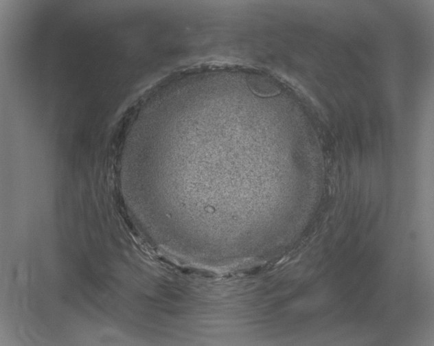 X0000082981207200702152349