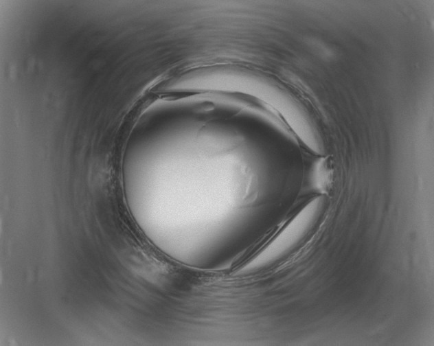 X0000082981210200702152349