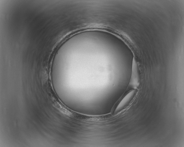 X0000082981212200702152349