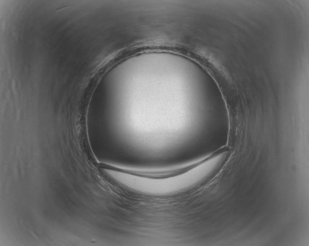 X0000082981213200702152349