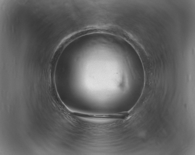 X0000082981214200702152349