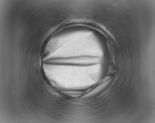 X0000082981221200702152349