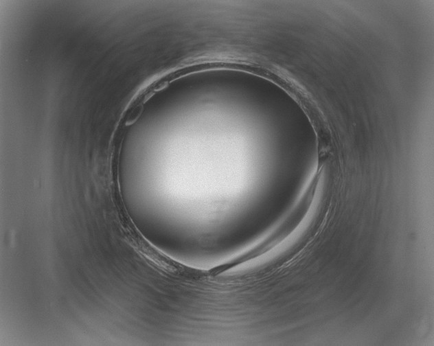 X0000082981222200702152349
