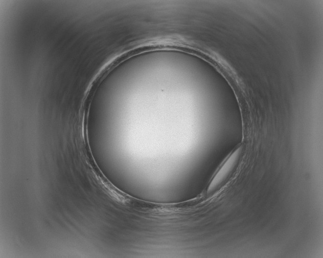 X0000082981224200702152349