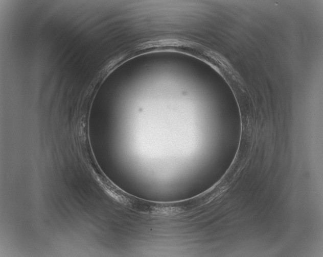 X0000082981225200702152349