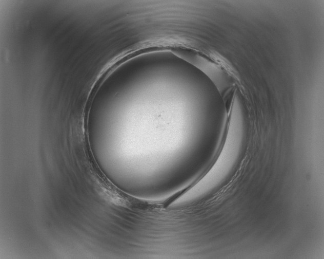 X0000082981226200702152349