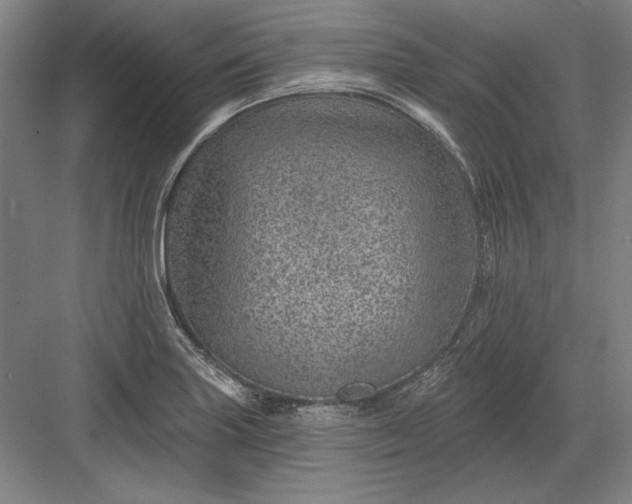 X0000082981227200702152349