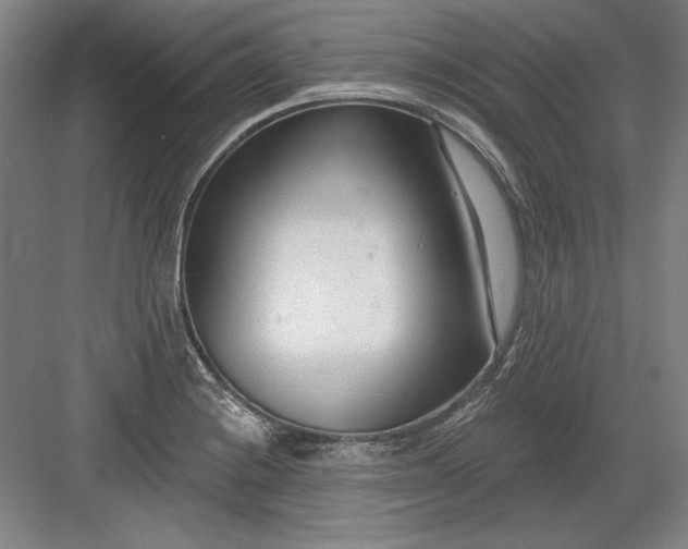 X0000082981228200702152349