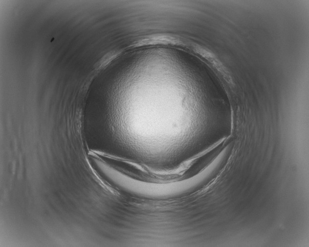 X0000082981233200702152349