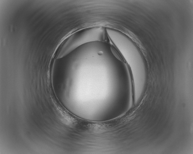X0000082981234200702152349
