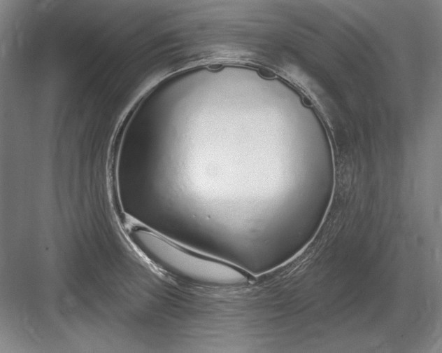X0000082981235200702152349