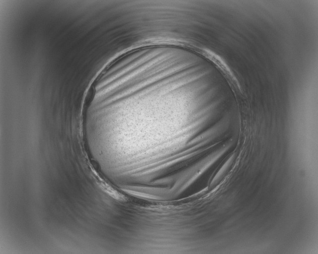 X0000082981236200702152349