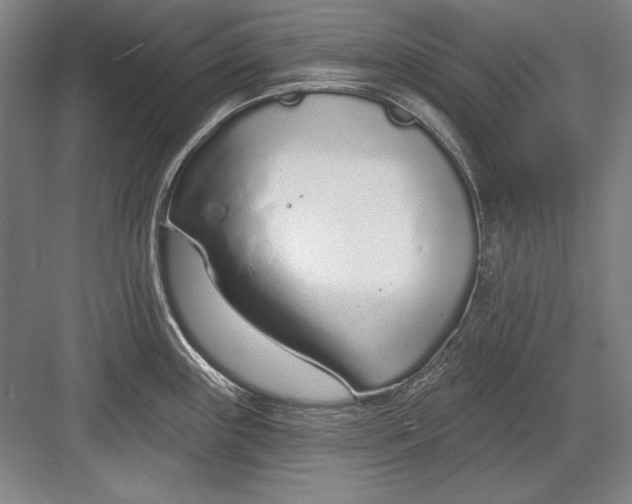 X0000082981243200702152349