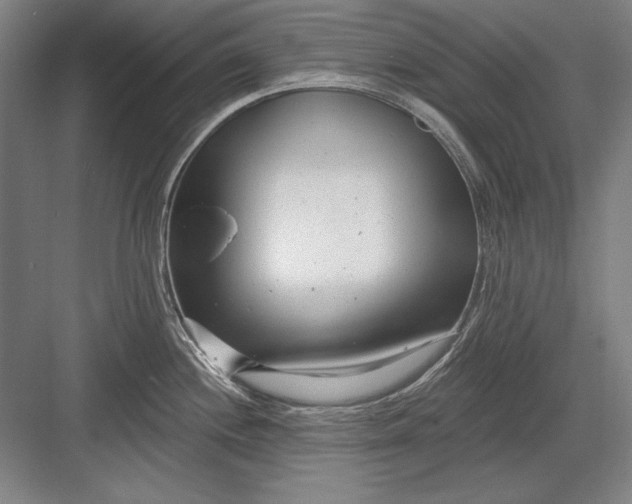 X0000082981244200702152349