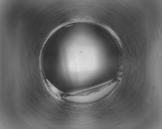 X0000082981246200702152349