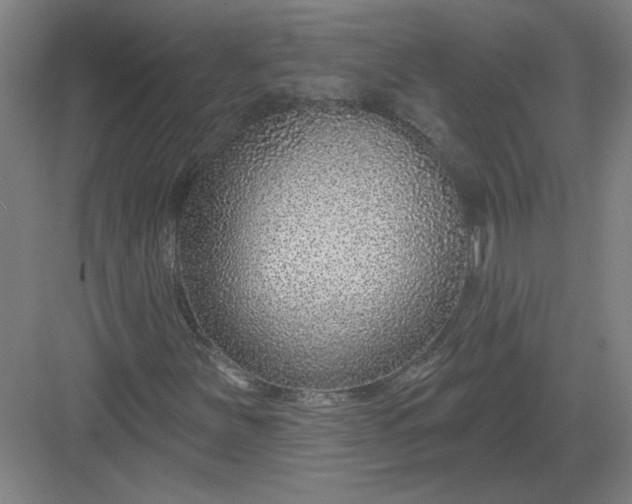 X0000082981251200702152348