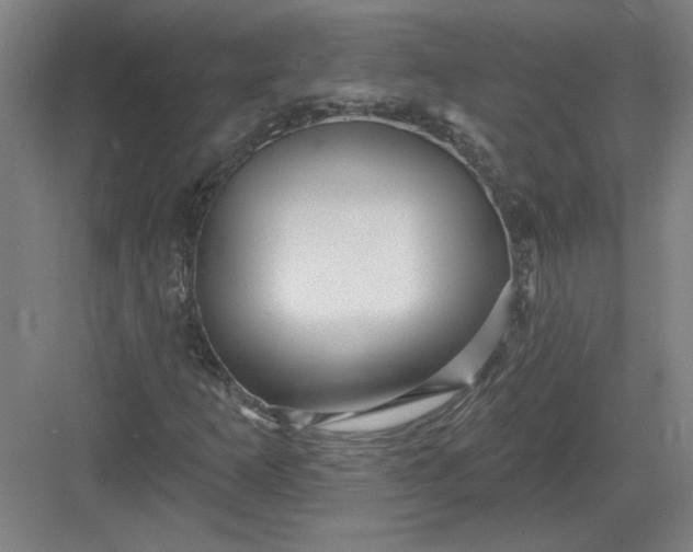 X0000082981253200702152348